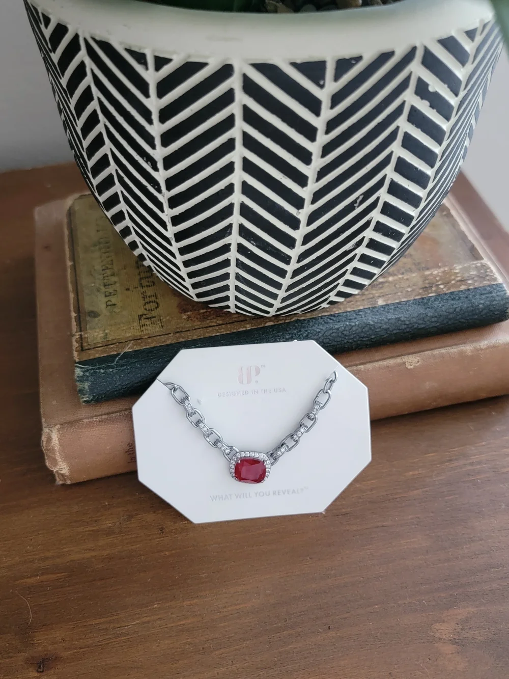 Silver-Tone Chain Necklace with Deep Red Cushion Pendant